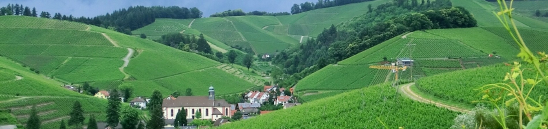 Dorfmitte eingebettet in die Weinberge